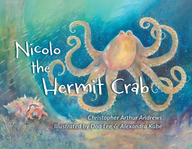 nicolo the hermit crab